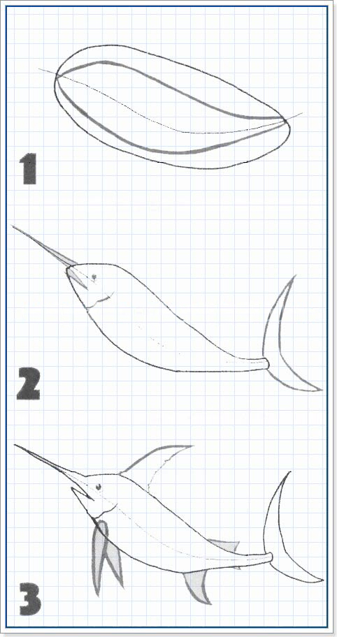 как нарисовать рыбку меч